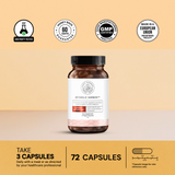 Ultimate Weight Loss Protocol 4.0