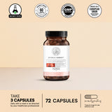 Ultimate Weight Loss Protocol 4.0